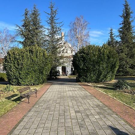 Vila Drina Apartments Banja Koviljača 外观 照片