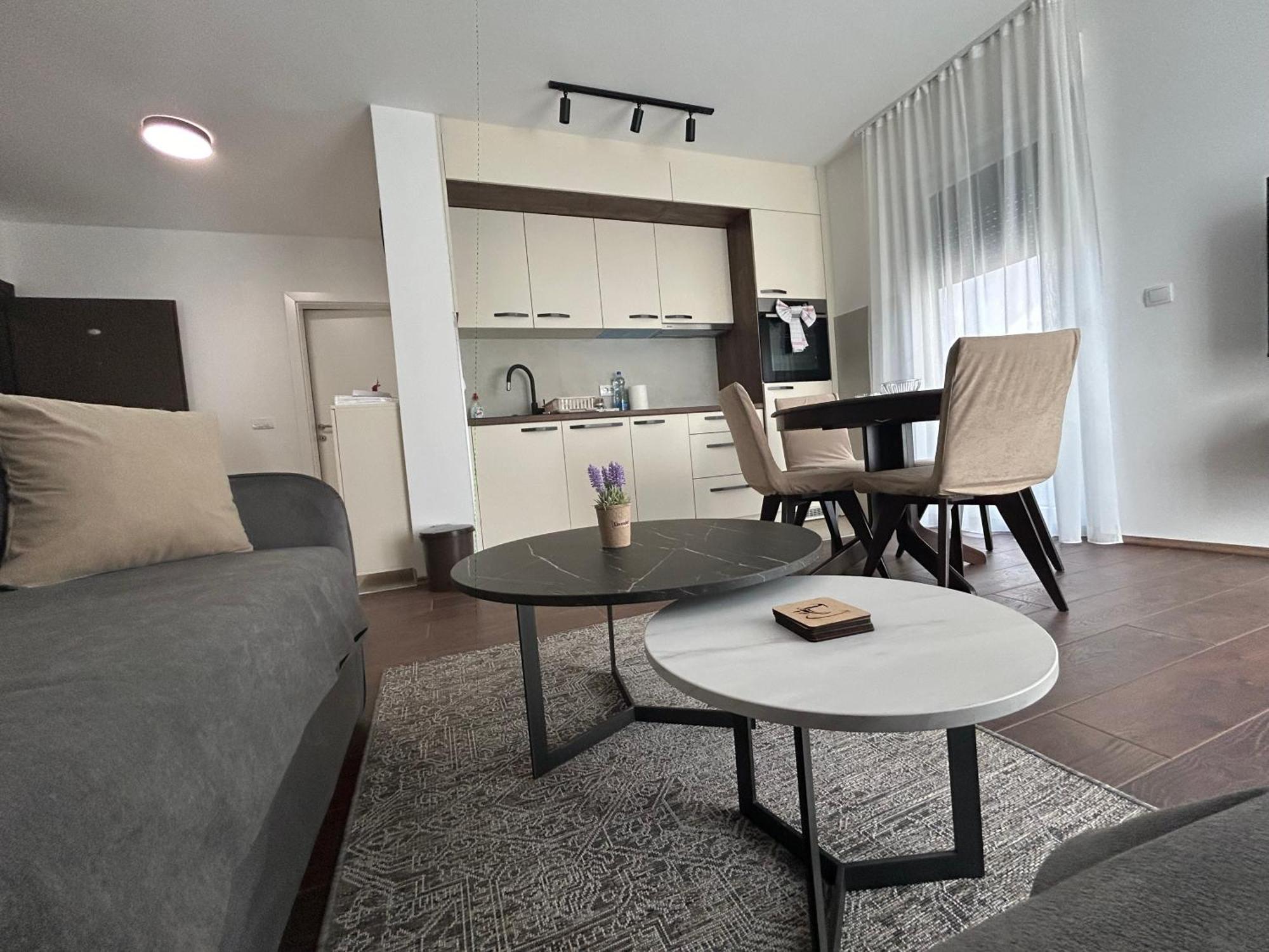 Vila Drina Apartments Banja Koviljača 外观 照片