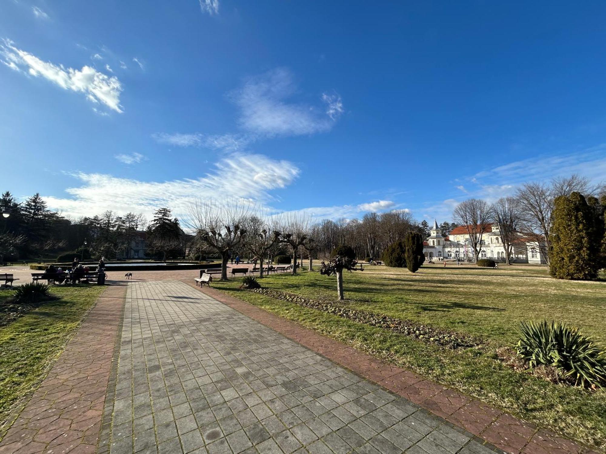 Vila Drina Apartments Banja Koviljača 外观 照片