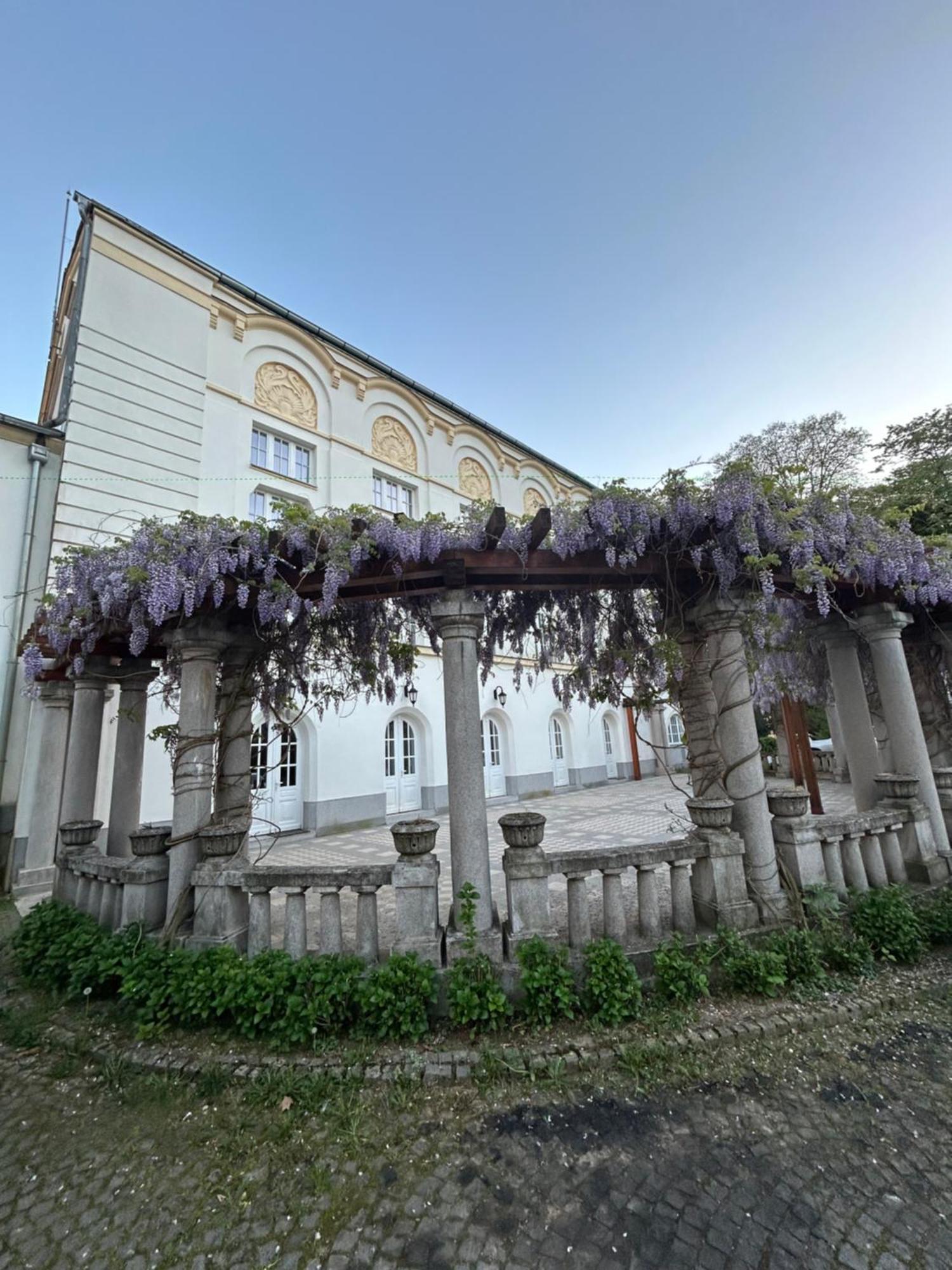 Vila Drina Apartments Banja Koviljača 外观 照片