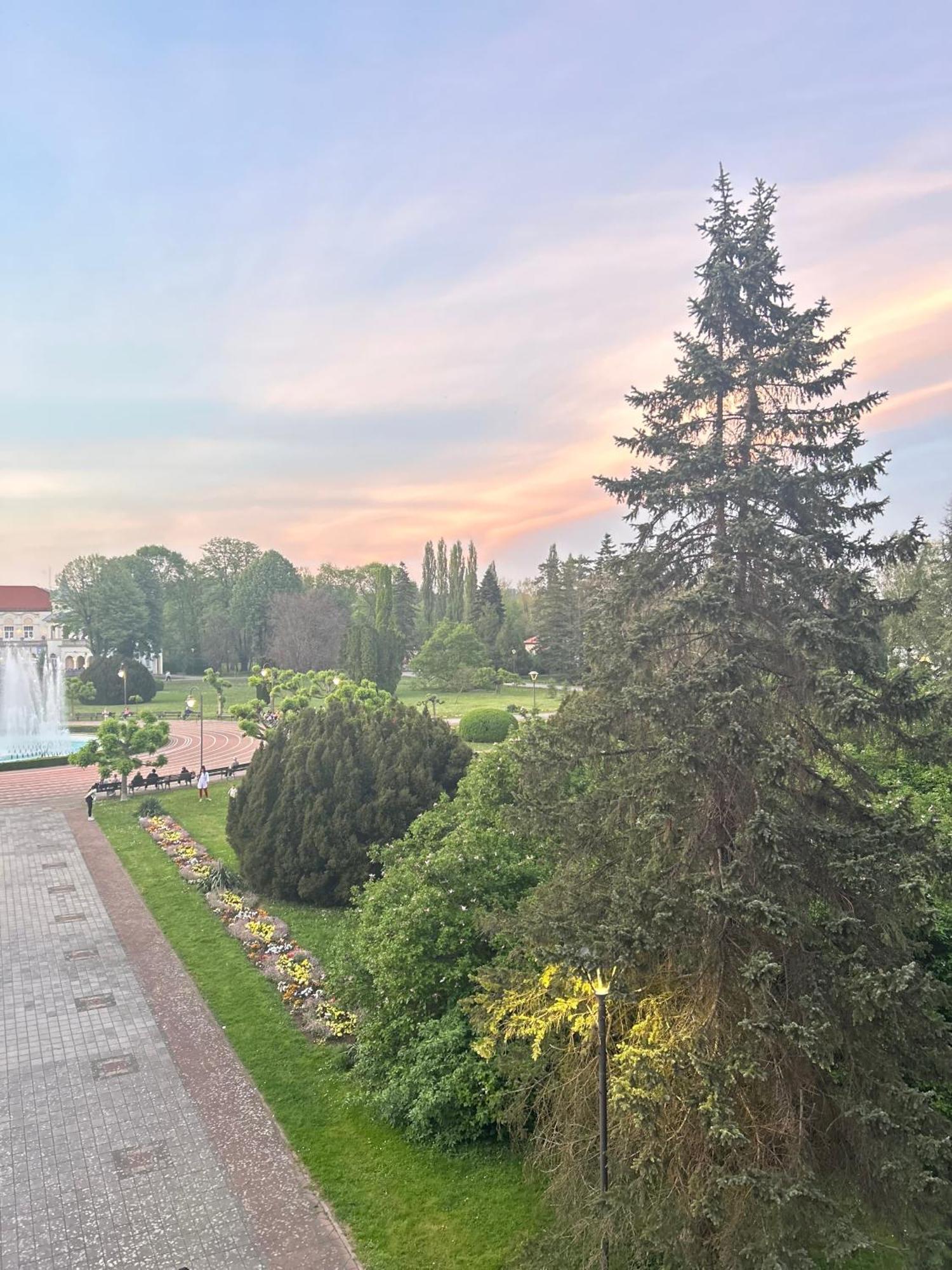 Vila Drina Apartments Banja Koviljača 外观 照片